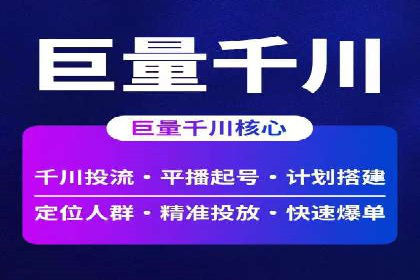 百度竞价与搜索引擎优化（SEO）结合的经典案例